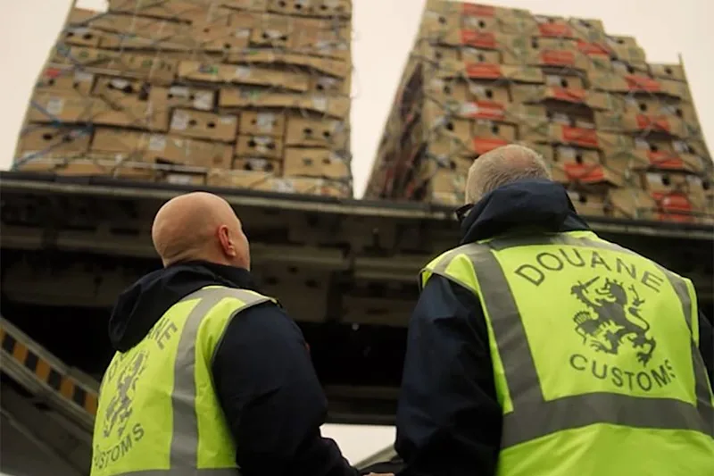 Customs & Compliance